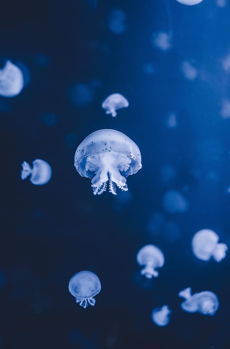 Underwater Getaway