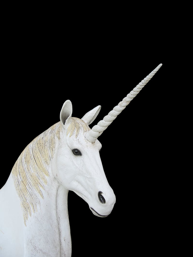 Unicorn Ride